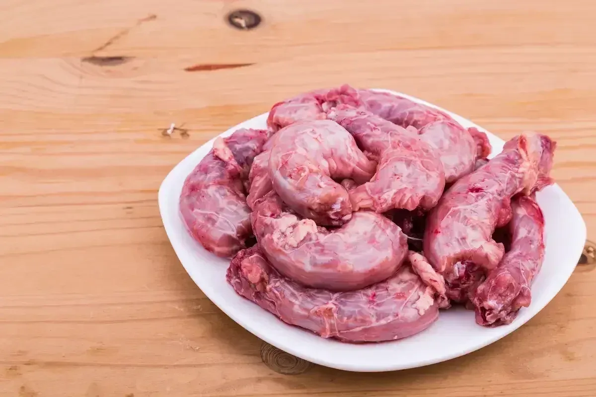 Can Dogs Eat Chicken Bones?