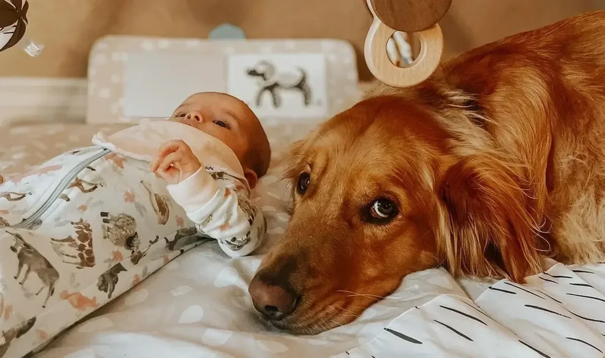 Raw Feeding & Human Safety