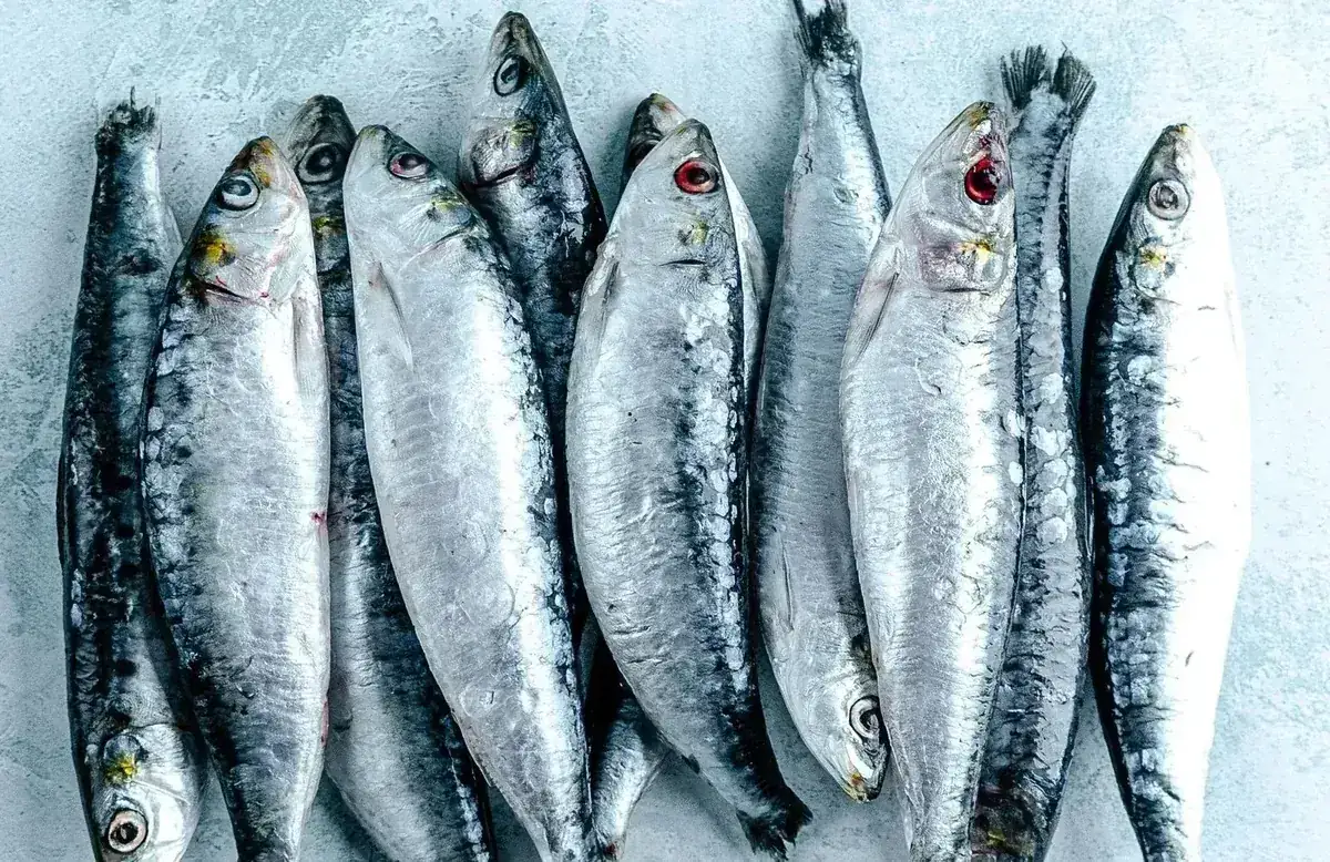 Vitamin E/Selenium Synergy